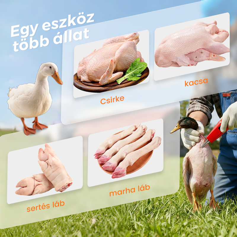 🦆🔥50% KEDVEZMÉNY KORLÁTOTT IDŐRE🔥 🐓 Elektromos baromfi tolltépő